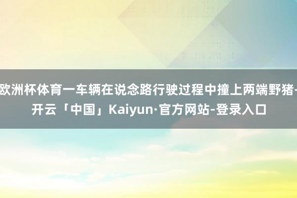 欧洲杯体育一车辆在说念路行驶过程中撞上两端野猪-开云「中国」Kaiyun·官方网站-登录入口